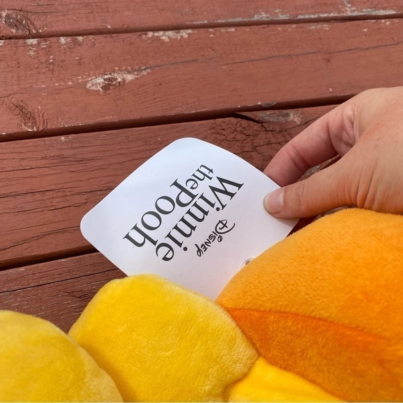 Disney Winnie the Pooh Acorn Fall Face Pillow Halloween Thanksgiving Pair Lot - Picture 5 of 5